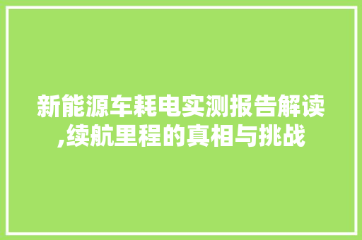 新能源车耗电实测报告解读,续航里程的真相与挑战