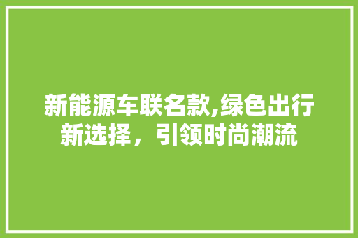 新能源车联名款,绿色出行新选择，引领时尚潮流