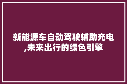 新能源车自动驾驶辅助充电,未来出行的绿色引擎