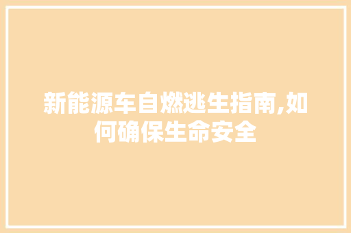 新能源车自燃逃生指南,如何确保生命安全