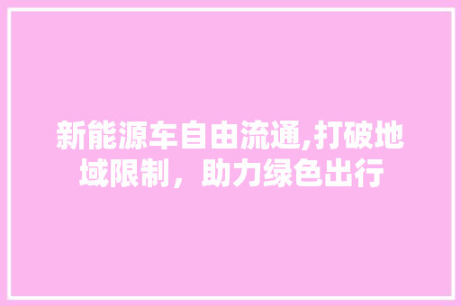 新能源车自由流通,打破地域限制，助力绿色出行