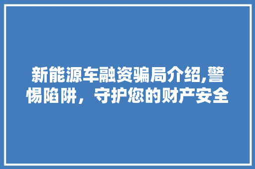 新能源车融资骗局介绍,警惕陷阱，守护您的财产安全
