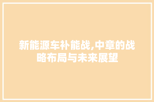 新能源车补能战,中章的战略布局与未来展望