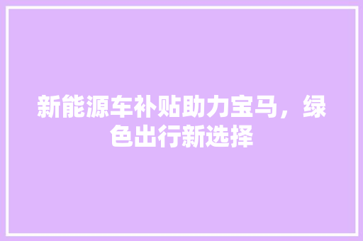 新能源车补贴助力宝马，绿色出行新选择