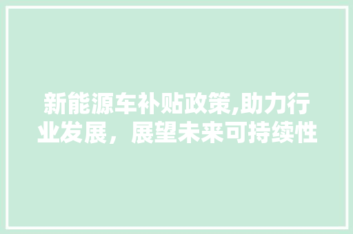 新能源车补贴政策,助力行业发展，展望未来可持续性