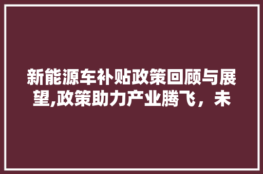 新能源车补贴政策回顾与展望,政策助力产业腾飞，未来可期