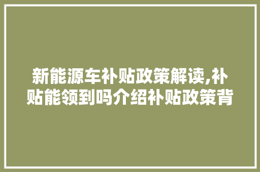 新能源车补贴政策解读,补贴能领到吗介绍补贴政策背后的真相