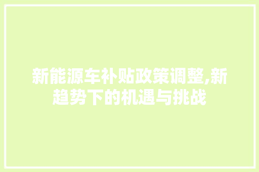 新能源车补贴政策调整,新趋势下的机遇与挑战