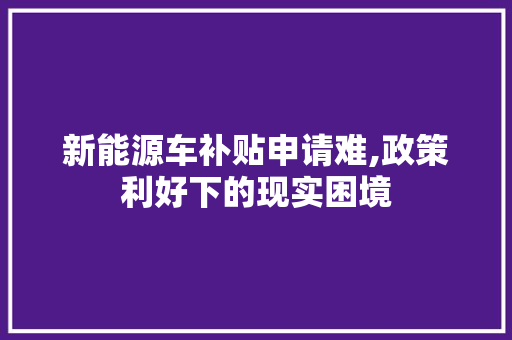 新能源车补贴申请难,政策利好下的现实困境