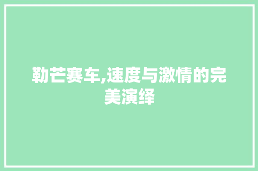 勒芒赛车,速度与激情的完美演绎