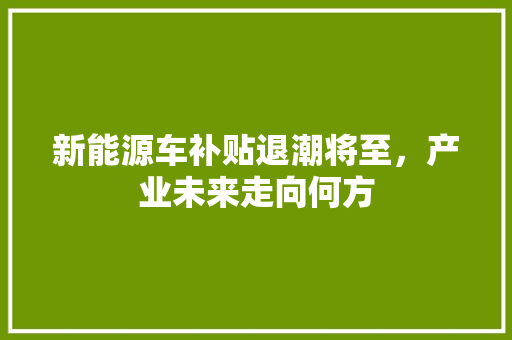 新能源车补贴退潮将至，产业未来走向何方