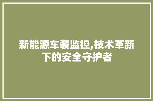 新能源车装监控,技术革新下的安全守护者