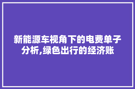 新能源车视角下的电费单子分析,绿色出行的经济账
