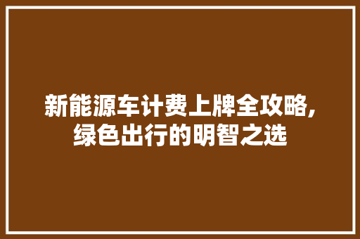 新能源车计费上牌全攻略,绿色出行的明智之选