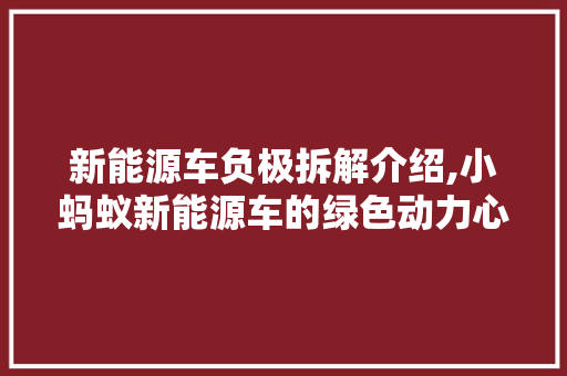 新能源车负极拆解介绍,小蚂蚁新能源车的绿色动力心脏