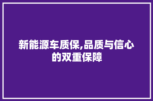 新能源车质保,品质与信心的双重保障
