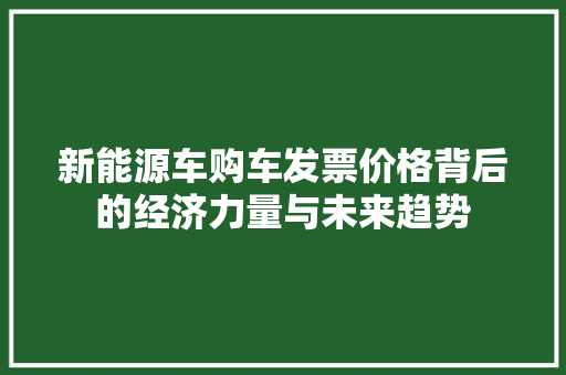 新能源车购车发票价格背后的经济力量与未来趋势