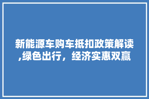 新能源车购车抵扣政策解读,绿色出行，经济实惠双赢之路