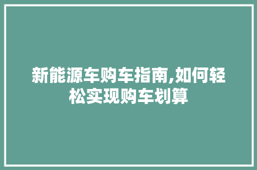新能源车购车指南,如何轻松实现购车划算 变速箱配件