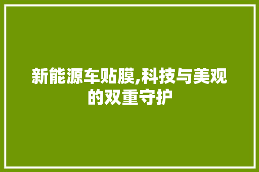 新能源车贴膜,科技与美观的双重守护