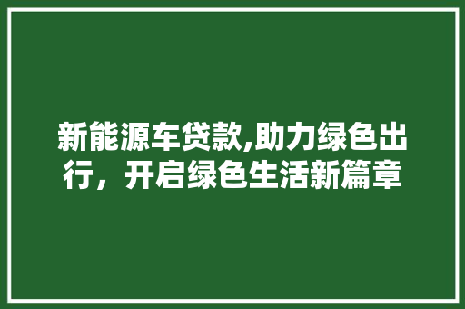 新能源车贷款,助力绿色出行，开启绿色生活新篇章