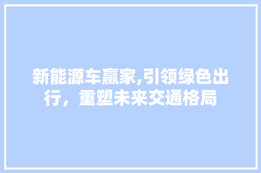 新能源车赢家,引领绿色出行，重塑未来交通格局