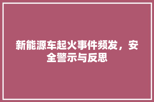 新能源车起火事件频发，安全警示与反思