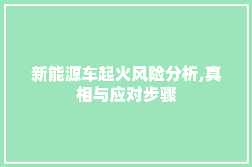 新能源车起火风险分析,真相与应对步骤