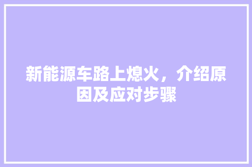 新能源车路上熄火，介绍原因及应对步骤 蓄电池配件