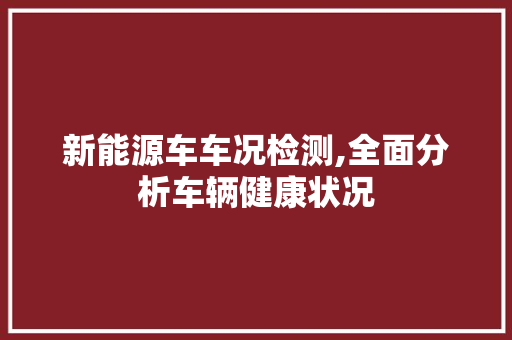 新能源车车况检测,全面分析车辆健康状况