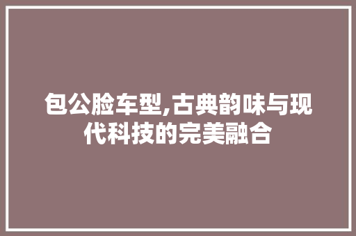 包公脸车型,古典韵味与现代科技的完美融合 新能源汽车