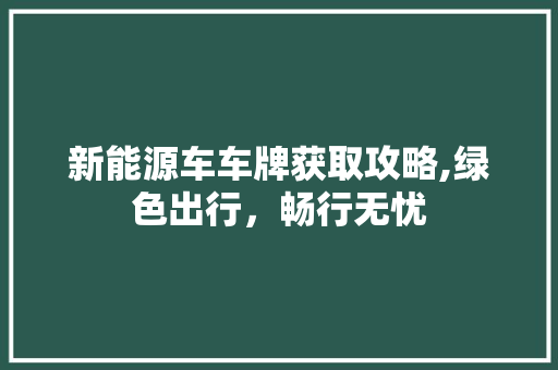 新能源车车牌获取攻略,绿色出行，畅行无忧