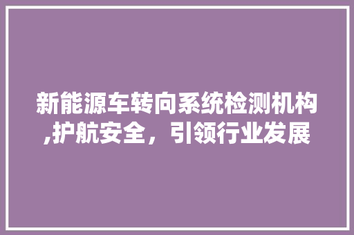 新能源车转向系统检测机构,护航安全，引领行业发展