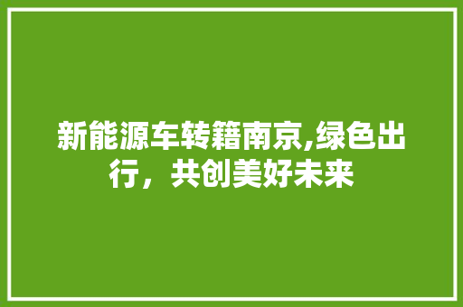 新能源车转籍南京,绿色出行，共创美好未来