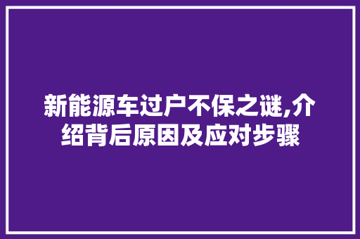 新能源车过户不保之谜,介绍背后原因及应对步骤