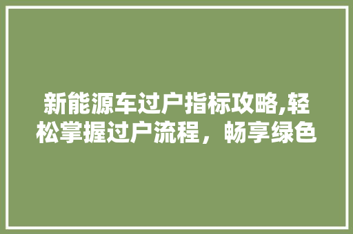新能源车过户指标攻略,轻松掌握过户流程，畅享绿色出行