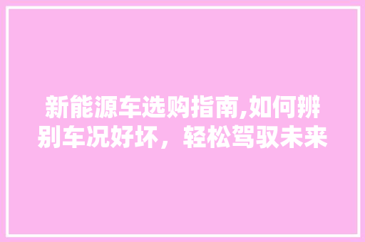 新能源车选购指南,如何辨别车况好坏，轻松驾驭未来出行