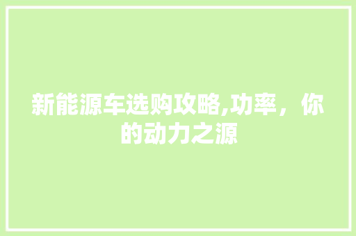 新能源车选购攻略,功率，你的动力之源