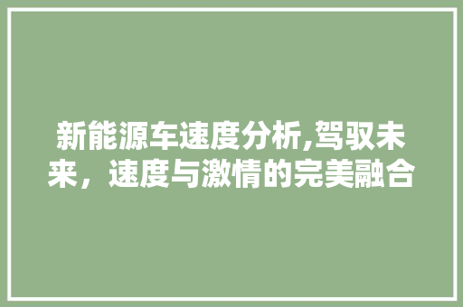 新能源车速度分析,驾驭未来，速度与激情的完美融合