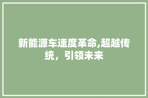 新能源车速度革命,超越传统，引领未来