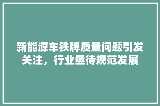 新能源车铁牌质量问题引发关注，行业亟待规范发展