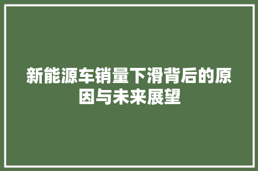 新能源车销量下滑背后的原因与未来展望
