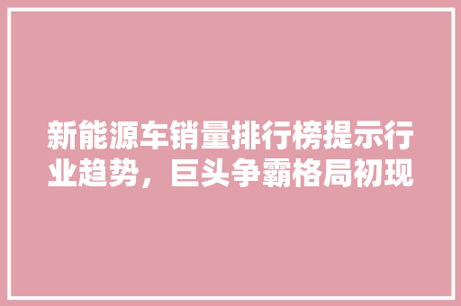 新能源车销量排行榜提示行业趋势，巨头争霸格局初现
