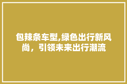 包辣条车型,绿色出行新风尚，引领未来出行潮流