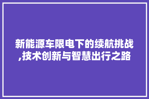 新能源车限电下的续航挑战,技术创新与智慧出行之路