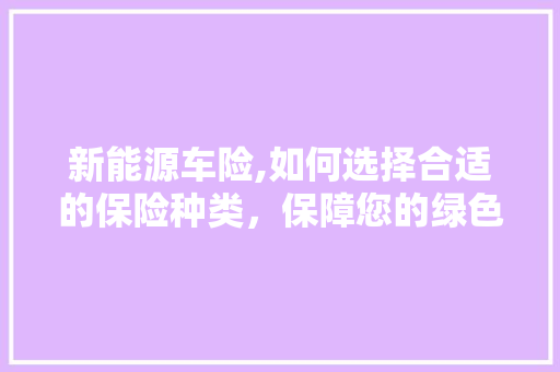 新能源车险,如何选择合适的保险种类，保障您的绿色出行无忧