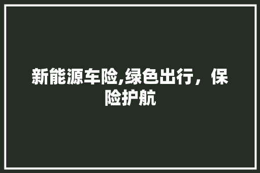 新能源车险,绿色出行，保险护航