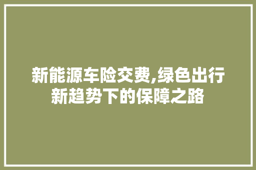 新能源车险交费,绿色出行新趋势下的保障之路