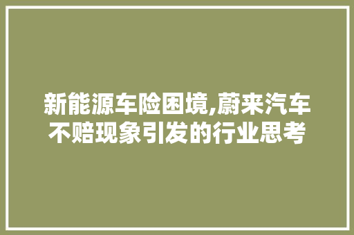 新能源车险困境,蔚来汽车不赔现象引发的行业思考