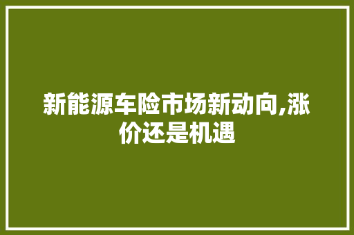 新能源车险市场新动向,涨价还是机遇